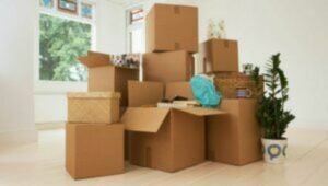 Packers and Movers From Pune to Allahabad