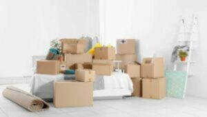 Packers and Movers From Pune to Bidar