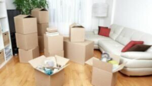 Packers and Movers From Pune to Bikaner