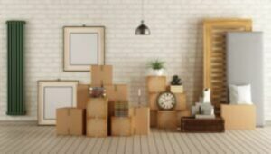 Packers and Movers From Pune to Delhi