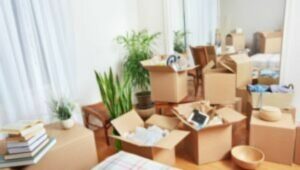 Packers and Movers From Pune to Gandhidham