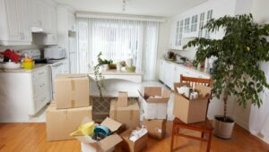 Packers and Movers Narhe Pune