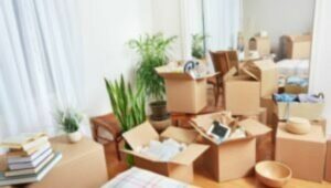 Packers and Movers From Pune to Navsari