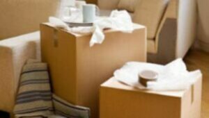 Packers and Movers From Pune to Gaya