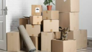 Packers and Movers From Pune to Udaipur