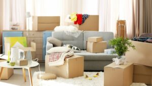Packers and Movers Talegaon Dabhade